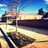 photo thumbnail