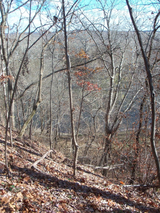 Photo detail