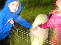 photo thumbnail