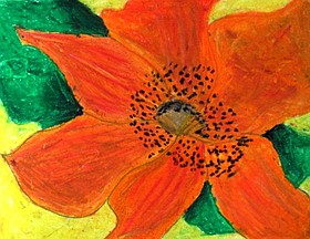 Photo detail