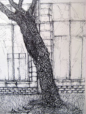 Photo detail