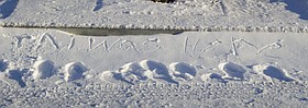 Photo detail