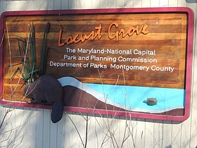 Photo detail