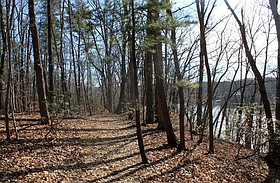 Photo detail