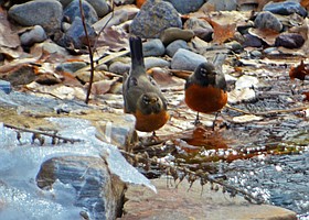 Photo detail