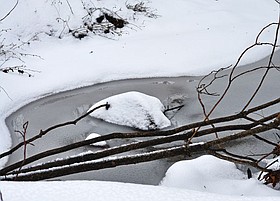 Photo detail