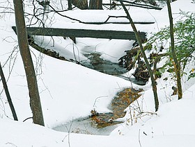 Photo detail