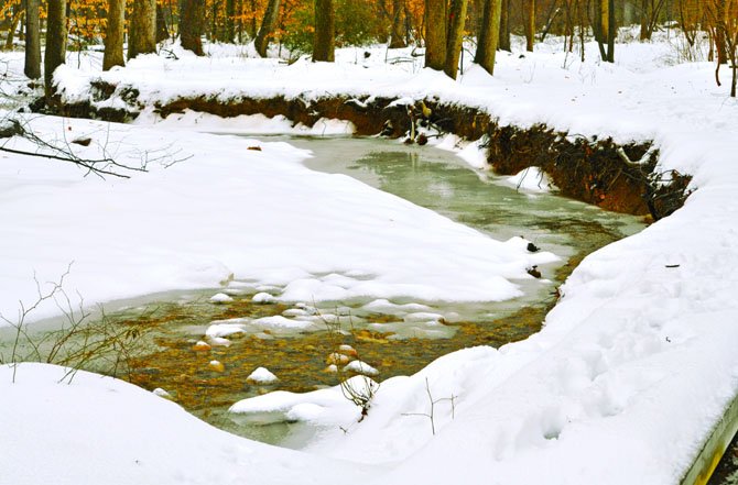 Landscape of a winter day.