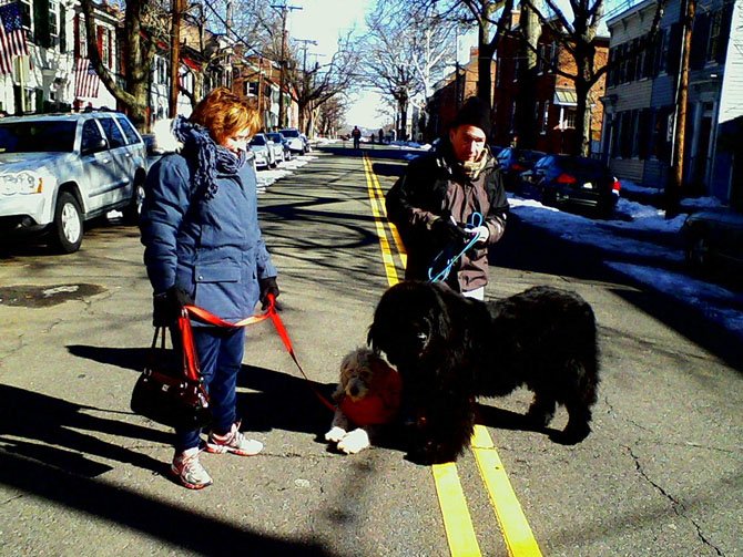 Dan and Cheryl Rosen leave the parade with their dogs Hemingway and Doodles.