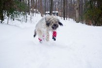 photo thumbnail