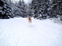 photo thumbnail