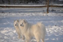 photo thumbnail