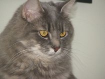 photo thumbnail