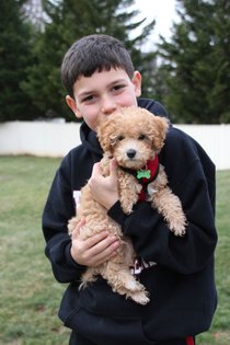 photo thumbnail