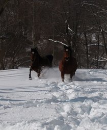photo thumbnail