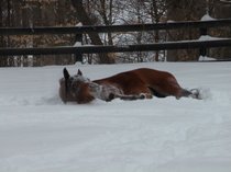 photo thumbnail