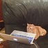 photo thumbnail