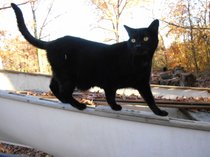 photo thumbnail