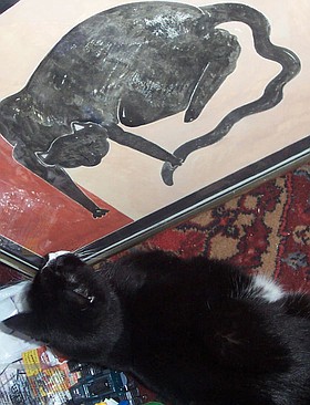 Photo detail
