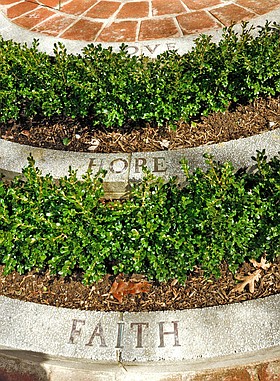 Photo detail