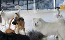 photo thumbnail