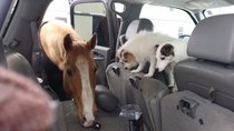 photo thumbnail