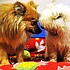 photo thumbnail