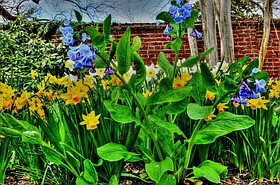 Photo detail