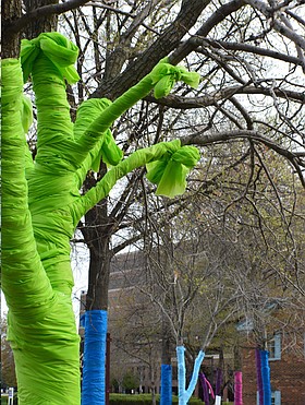 Photo detail