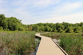 Photo detail