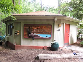 Photo detail