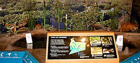 Photo detail
