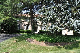 Photo detail