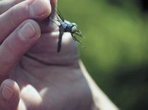 photo thumbnail