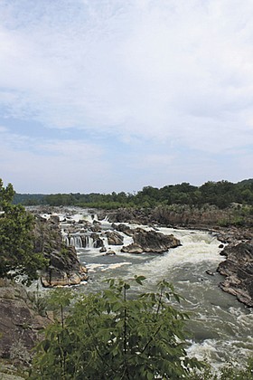Photo detail