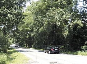 Photo detail