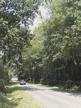 Photo detail