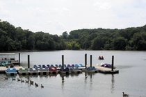 photo thumbnail