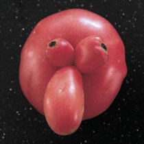 photo thumbnail