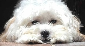 Photo detail