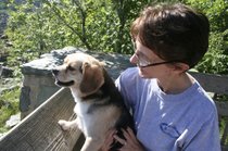 photo thumbnail