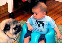photo thumbnail