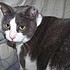 photo thumbnail