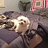 photo thumbnail