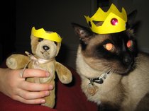 photo thumbnail