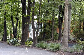 Photo detail