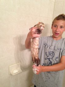 photo thumbnail