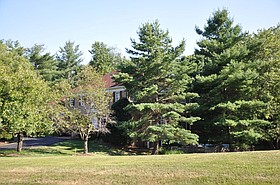 Photo detail