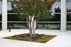 Photo detail