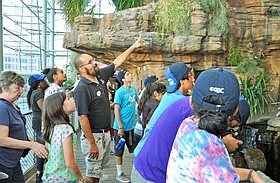 Photo detail